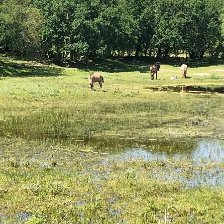 Gluecklich Am Deluxe Mit Wellnesszugang *