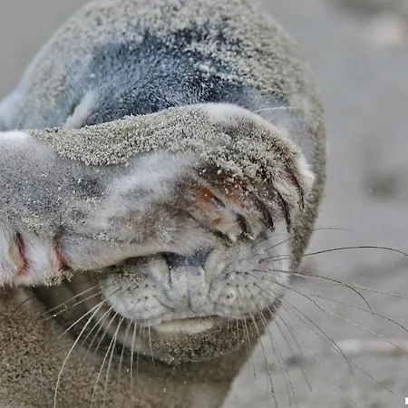 Gluecklich Am Deluxe Mit Wellnesszugang Daire *