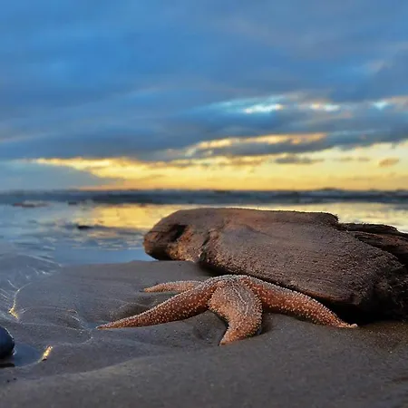 Apartmán Gluecklich Am Deluxe Mit Wellnesszugang