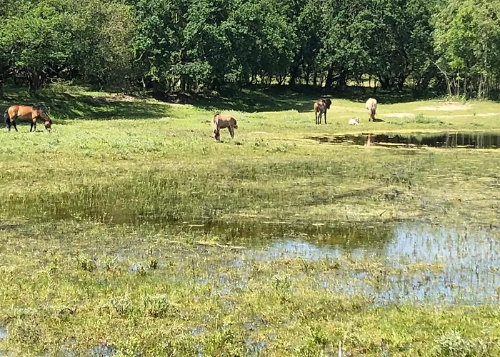 Gluecklich Am Deluxe Mit Wellnesszugang *