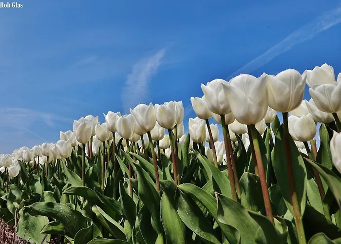 Gluecklich Am Deluxe Mit Wellnesszugang Appartamento *